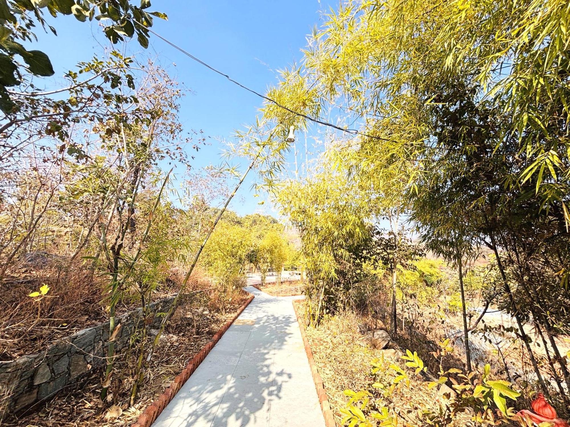 The Sky Imperial Jungle Camp Resort Kumbhalgarh Ngoại thất bức ảnh